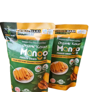 Organic Kesar Mango Freeze-Dried Slices - Image 2