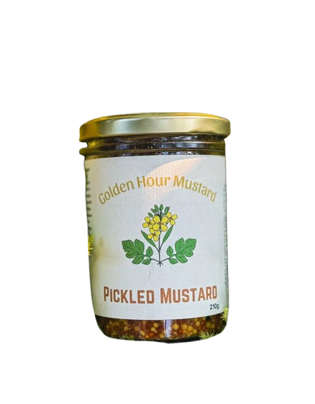 Golden Hour Mustard Pickled Mustard Greens