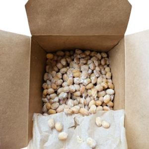 Organic Natto