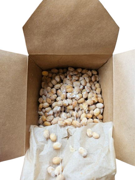 Organic Natto